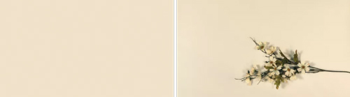 EGGER U115 ST9 Carat Beige